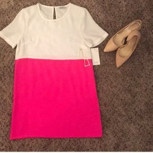 NWT Hot pink & white swing dress